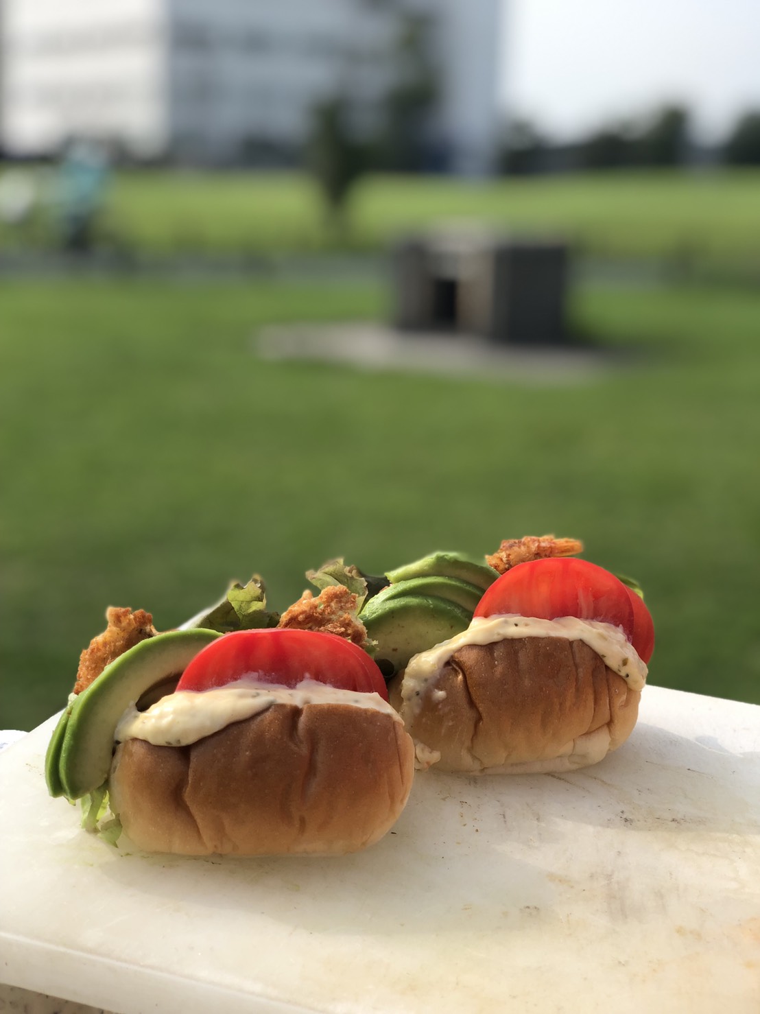 qに浜名湖の美味しいスズキ ヒラスズキスズキ 浜名湖伝統漁法えびすき漁の極漁丸