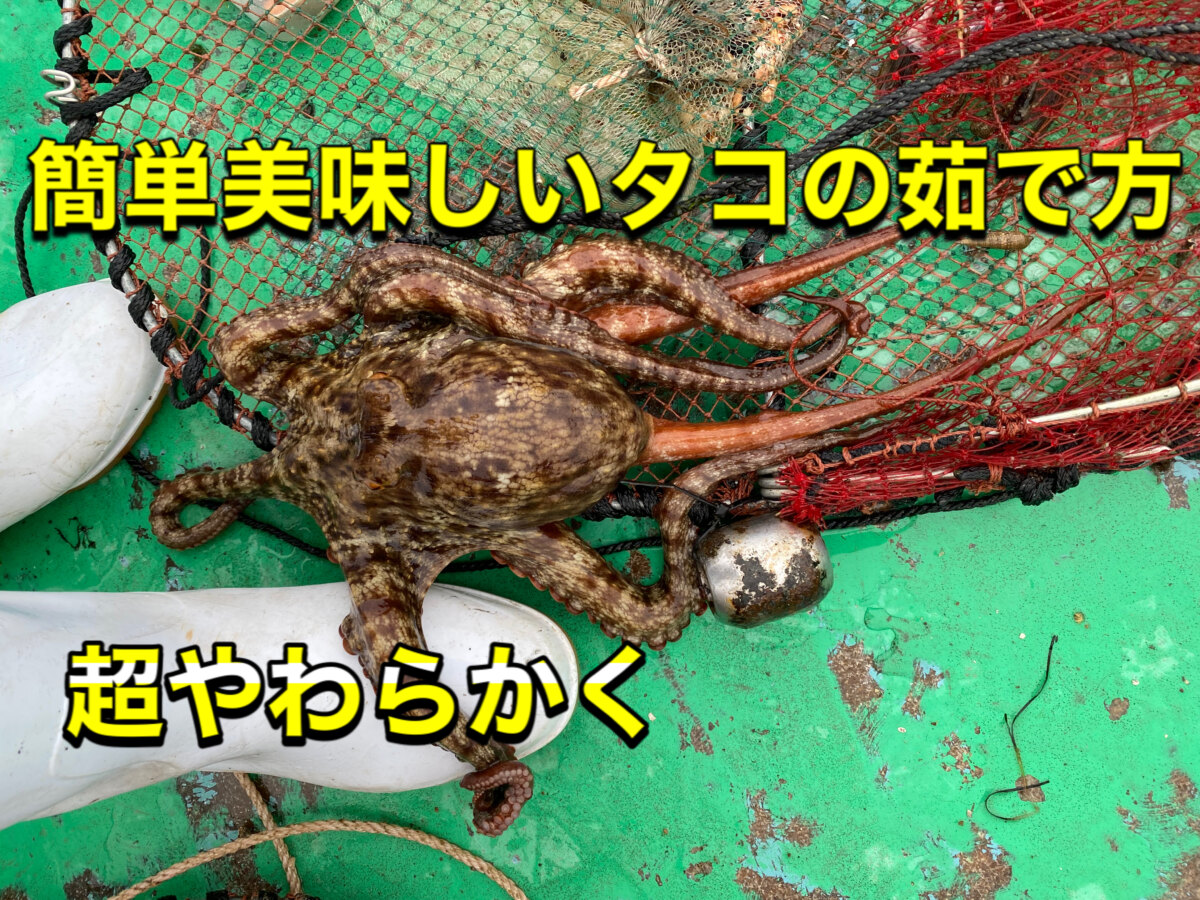 誰でも簡単 生タコの美味しい茹で方 浜名湖伝統漁法えびすき漁の極漁丸